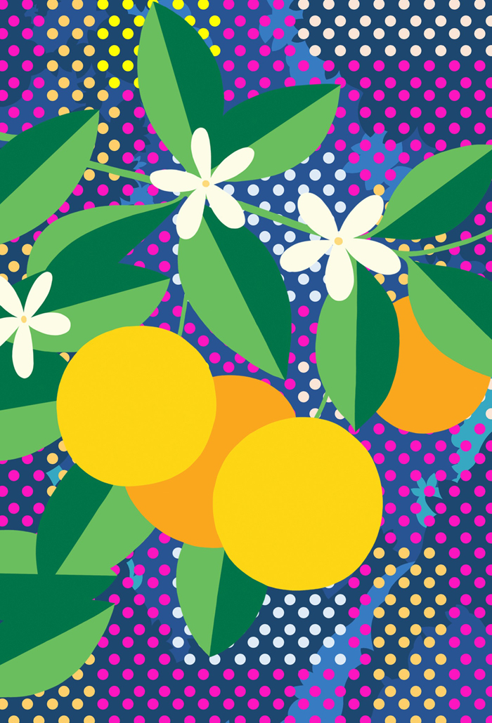 Orange Calamondin with a patterned background